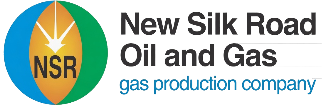 NEW SILK ROAD OIL AND GAS